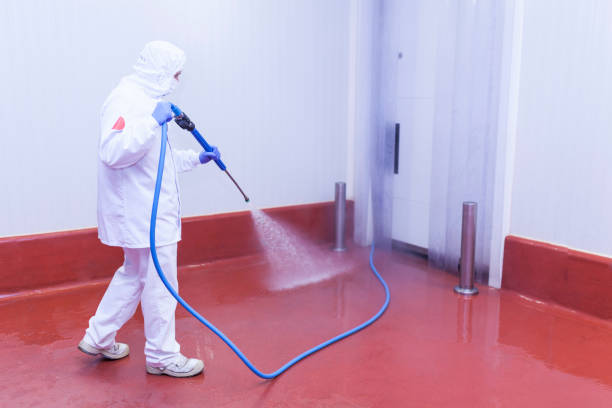 Best Sidewalk and Walkway Cleaning  in Bystrom, CA